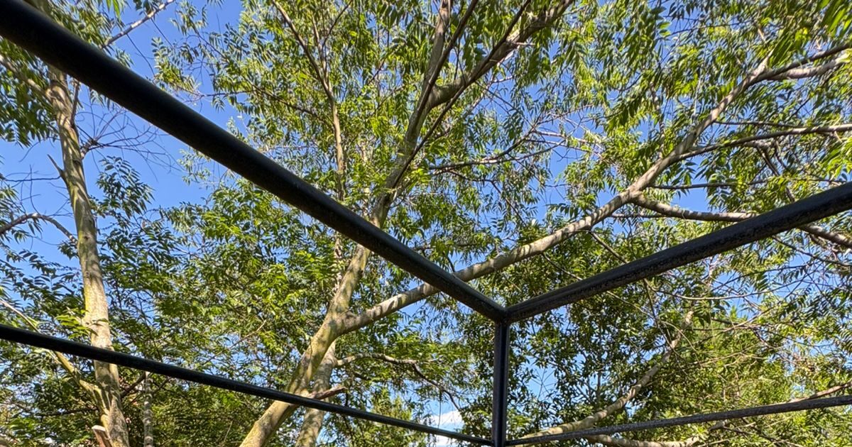 Um blog funciona para qualquer profissão?