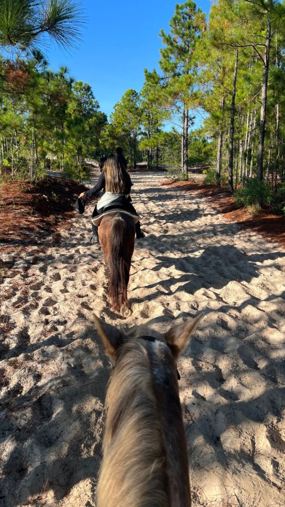 Passeio a Cavalo em Florianópolis: Como Foi Minha Experiência na Praia.