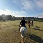 Horseback Riding in Florianopolis: My Moçambique Beach Experience