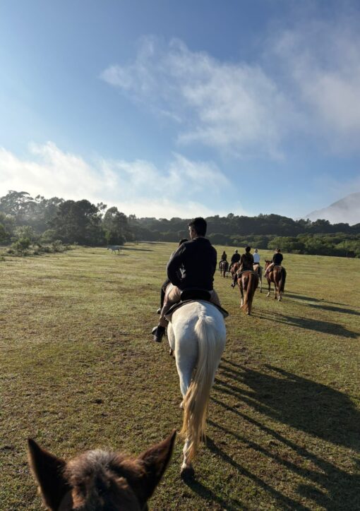 Horseback Riding in Florianopolis: My Moçambique Beach Experience