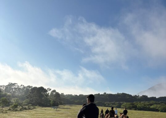 Horseback Riding in Florianopolis: My Moçambique Beach Experience