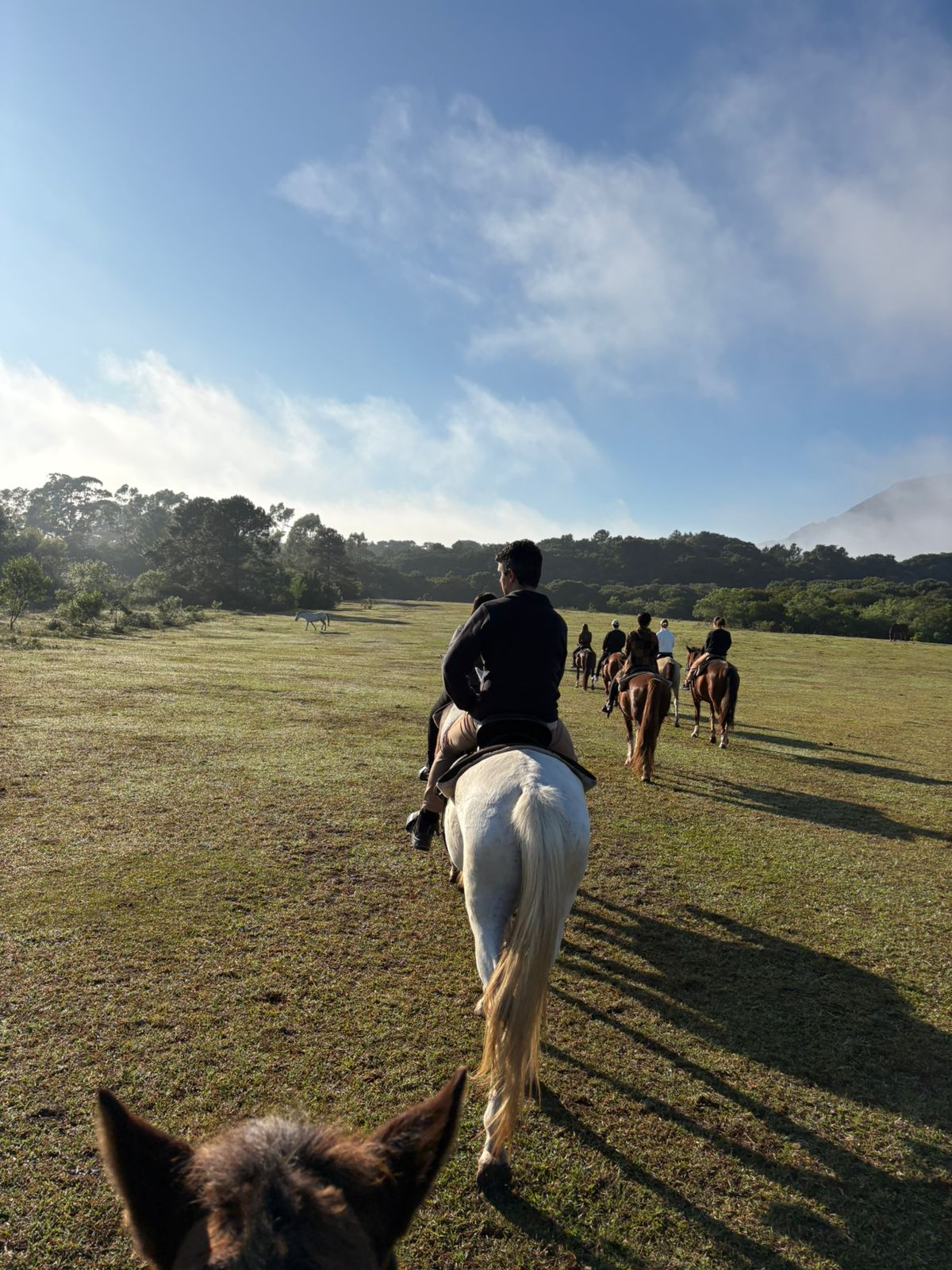 Horseback Riding in Florianopolis: My Moçambique Beach Experience