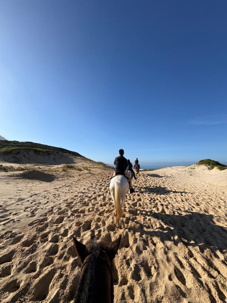 Looking for unique things to do in Florianopolis? Check out my experience horseback riding through the dunes and wild trails of Moçambique Beach! Prices, tips, and review.